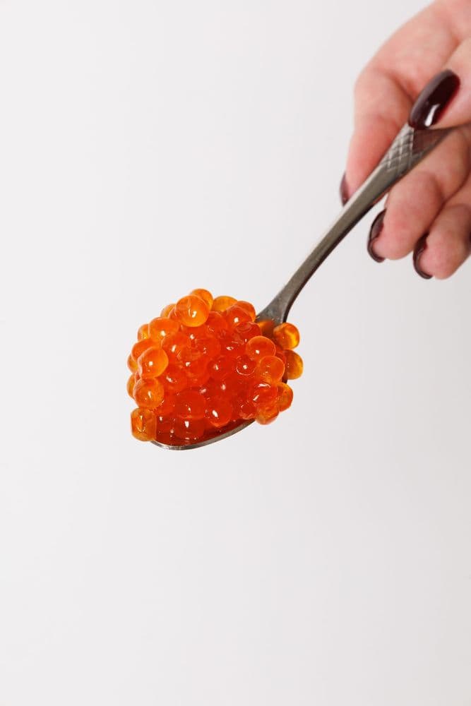 Набір (Горбуша – Кета – Веслоніс) 3