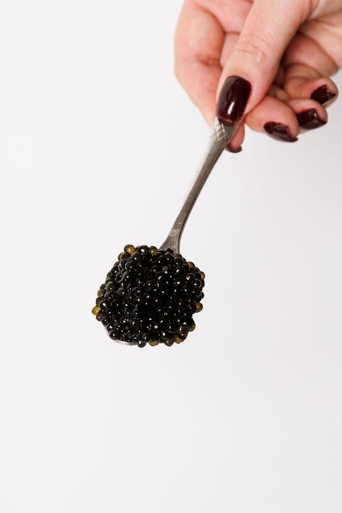 Набір (Горбуша – Кета – Веслоніс) 4